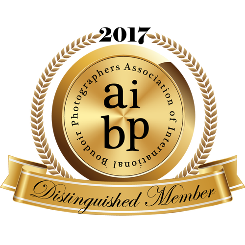 AIBP 2017