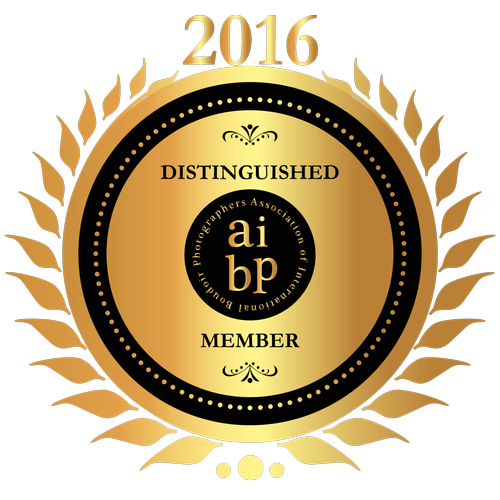 Gold Member Badge 2016